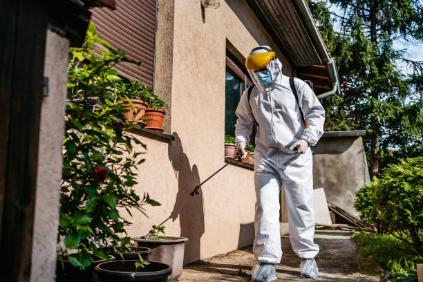 Best Affordable Pest Control Services  in Marshalltown, IA