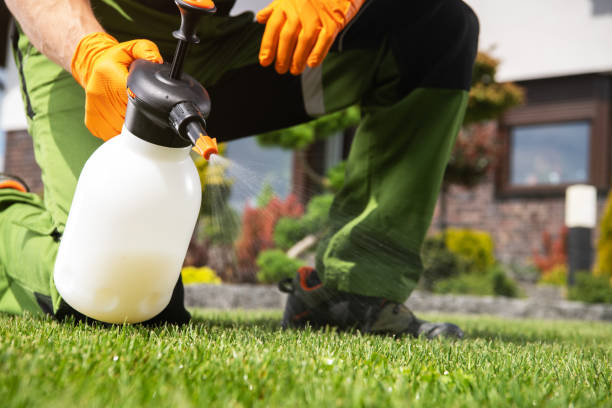 Best Affordable Pest Control Services  in Marshalltown, IA