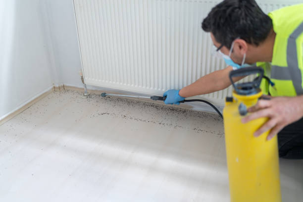 Best Residential Pest Control  in Marshalltown, IA